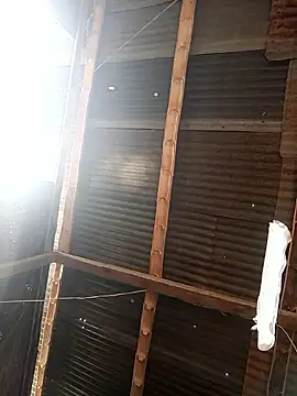 Davir2001 online show from February 27, 2026, 1:44 pm