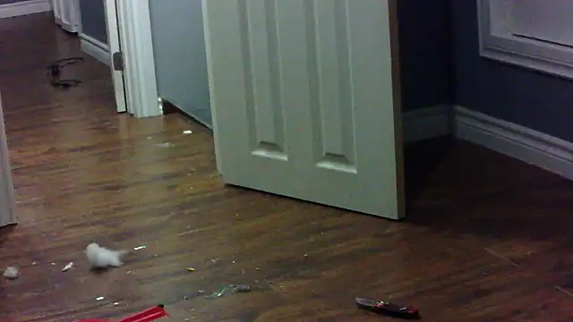 lovemedirty online show from February 8, 2026, 7:23 am