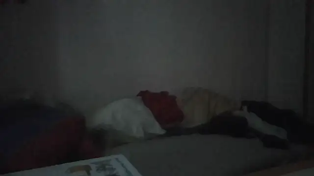 ARTANIS20 online show from January 11, 2026, 7:35 am