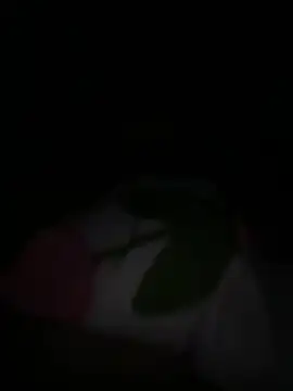 Snapshot of tarantan1993 chatting on March 5, 2026, 11:01 pm tarantan1993 online show from March 5, 2026, 11:01 pm