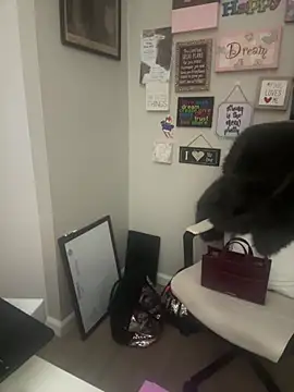 Juicystorm online show from February 11, 2026, 1:10 am