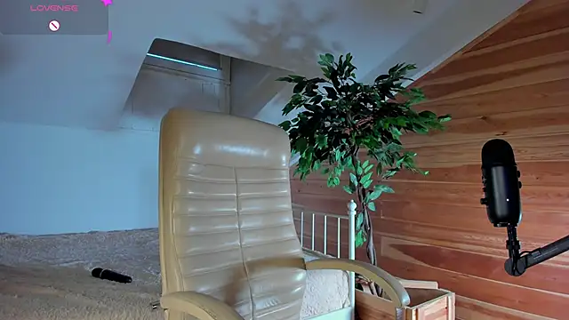 AuroraShoww online show from November 20, 2025, 12:49 pm