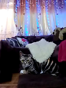 Snapshot of SquirtMilf00 chatting on February 18, 2025, 7:10 am SquirtMilf00 online show from February 18, 2025, 7:10 am