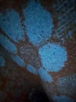 ParousFlow online show from January 19, 2026, 12:42 pm