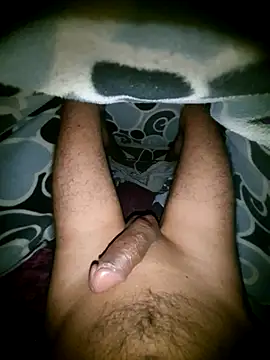 Desi Horny Boys online show from November 20, 2025, 5:45 pm