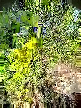 Snapshot of Desi_Horny_Boys chatting on May 3, 2026, 3:12 am Desi Horny Boys online show from May 3, 2026, 3:12 am