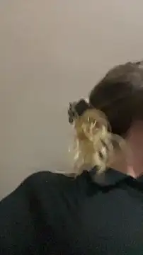 Snapshot of blond-96 chatting on April 3, 2026, 4:32 am blond-96 online show from April 3, 2026, 4:32 am