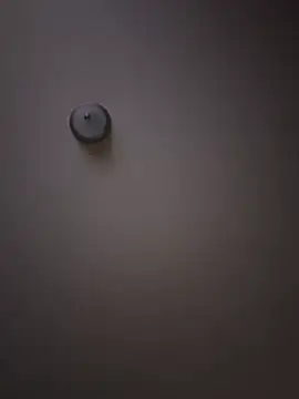 curis4270panda online show from February 16, 2026, 7:59 am