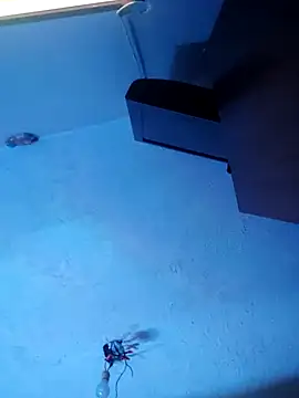 melisa hot420 online show from November 8, 2025, 8:25 am