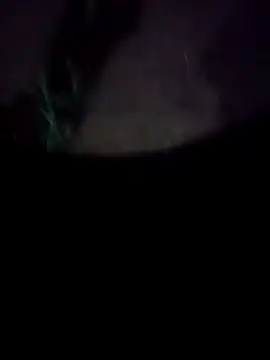 mkallu1995 online show from February 18, 2026, 5:20 pm