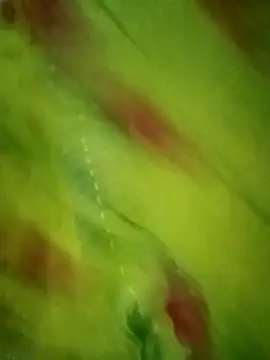 Shiya janu online show from October 27, 2025, 11:14 am