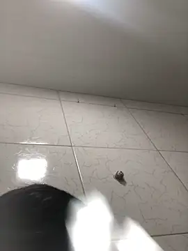 ksxxz online show from March 12, 2026, 11:27 am