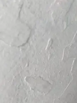 Snapshot of yaraa49 chatting on October 23, 2025, 5:07 am yaraa49 online show from October 23, 2025, 5:07 am