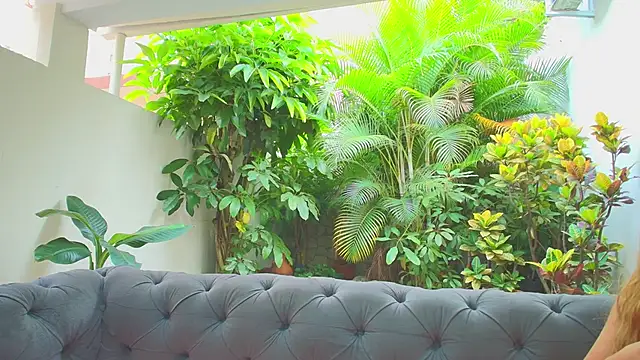 sharon greey online show from November 21, 2025, 12:48 pm