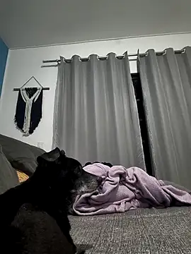 Snapshot of mikeara90 chatting on October 22, 2025, 10:31 pm mikeara90 online show from October 22, 2025, 10:31 pm