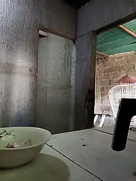 Fernanda30 online show from October 28, 2025, 4:31 pm