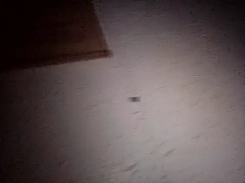 Hottiesophie online show from April 11, 2026, 8:02 pm