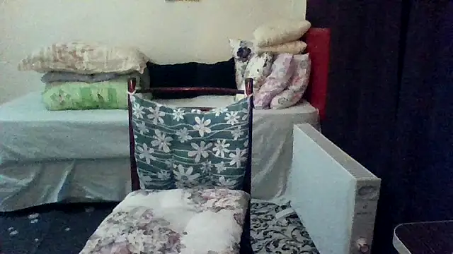 Snapshot of st206boy chatting on March 8, 2026, 11:08 pm st206boy online show from March 8, 2026, 11:08 pm