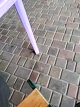 Odecca11 online show from November 23, 2025, 8:25 am