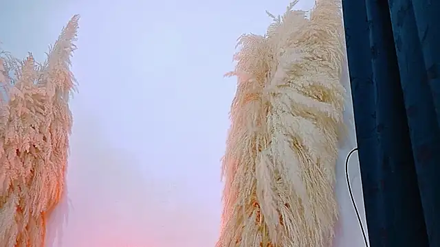 JulietaDavis online show from February 20, 2026, 9:32 am