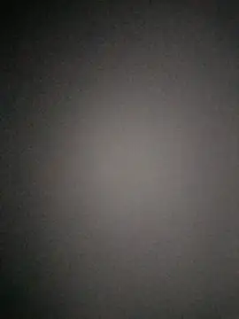 s     e    x    1233 online show from April 10, 2026, 7:51 pm