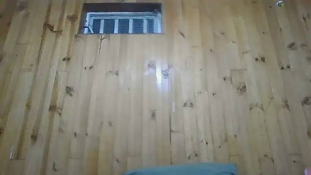 Snapshot of Roselingalvis13 chatting on December 3, 2025, 3:03 am Roselingalvis13 online show from December 3, 2025, 3:03 am