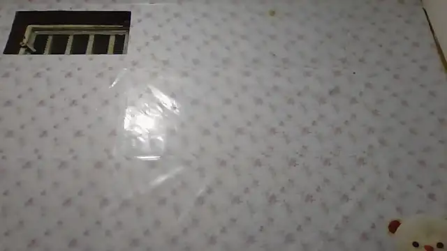 Snapshot of Roselingalvis13 chatting on January 14, 2026, 2:28 am Roselingalvis13 online show from January 14, 2026, 2:28 am