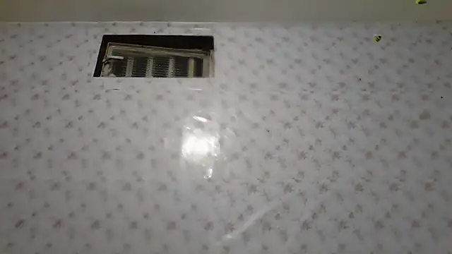 Snapshot of Roselingalvis13 chatting on February 2, 2026, 2:43 am Roselingalvis13 online show from February 2, 2026, 2:43 am