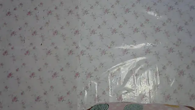 Snapshot of Roselingalvis13 chatting on May 28, 2026, 3:04 am Roselingalvis13 online show from May 28, 2026, 3:04 am