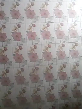 bhaijaan66 online show from November 25, 2025, 7:03 pm