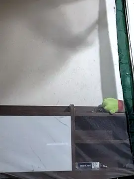 Maria2299 online show from November 6, 2025, 5:36 pm