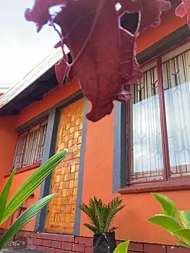 BaggyDirt online show from February 24, 2026, 6:44 am