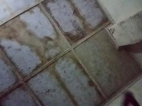 RFeltomWhitJ online show from November 17, 2025, 1:11 am