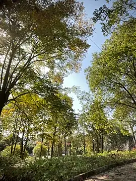 Xiao-meng66 online show from November 14, 2025, 3:38 am