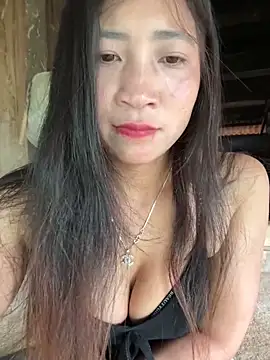 ThiHa003 online show from February 26, 2026, 8:13 am