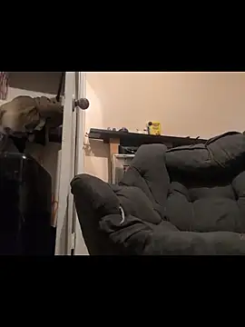 Snapshot of Cnutt310 chatting on December 14, 2025, 3:50 pm Cnutt310 online show from December 14, 2025, 3:50 pm