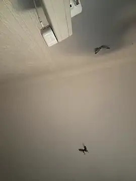 AroraAngel online show from March 7, 2026, 9:56 pm