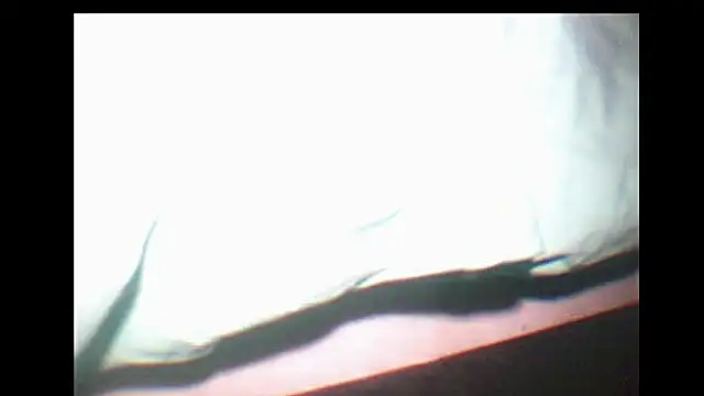 Snapshot of pietje1991 chatting on December 15, 2025, 10:14 pm pietje1991 online show from December 15, 2025, 10:14 pm