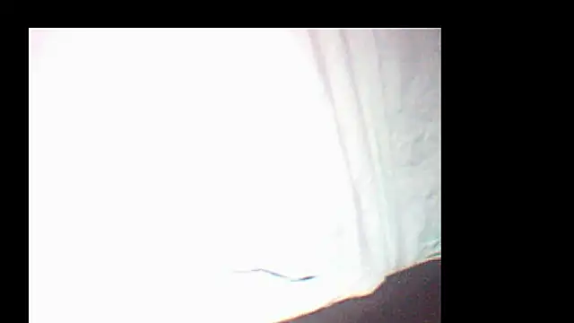 pietje1991 online show from December 19, 2025, 3:52 pm