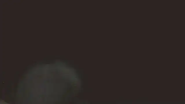pietje1991 online show from May 16, 2026, 11:36 pm