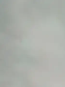 Snapshot of saik_03 chatting on February 17, 2026, 7:31 pm saik 03 online show from February 17, 2026, 7:31 pm