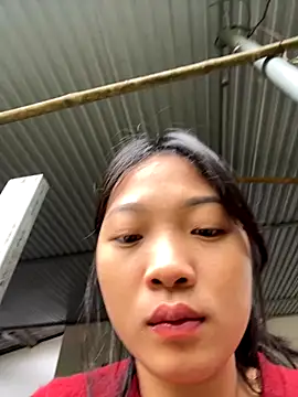 Phayphay77 online show from November 21, 2025, 1:48 am