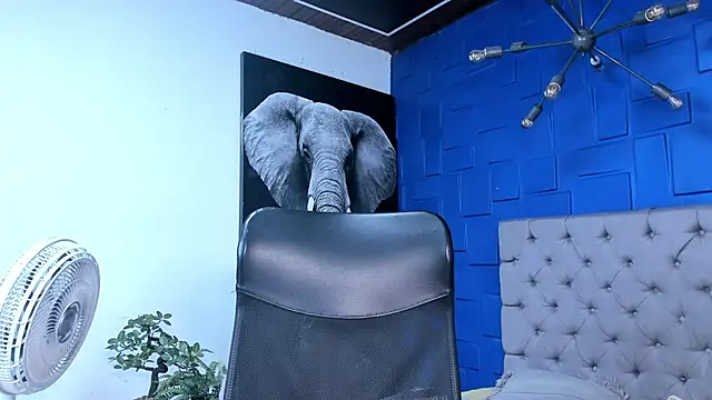 Snapshot of andres-clark92 chatting on October 26, 2025, 6:14 pm andres-clark92 online show from October 26, 2025, 6:14 pm