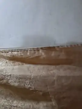 darryl hugecok online show from March 15, 2026, 7:14 am