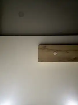 Snapshot of ALANNFERRER chatting on September 10, 2025, 9:31 am ALANNFERRER online show from September 10, 2025, 9:31 am