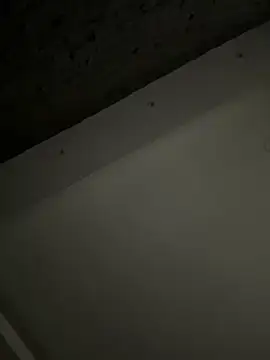 Snapshot of ALANNFERRER chatting on October 4, 2025, 9:40 am ALANNFERRER online show from October 4, 2025, 9:40 am