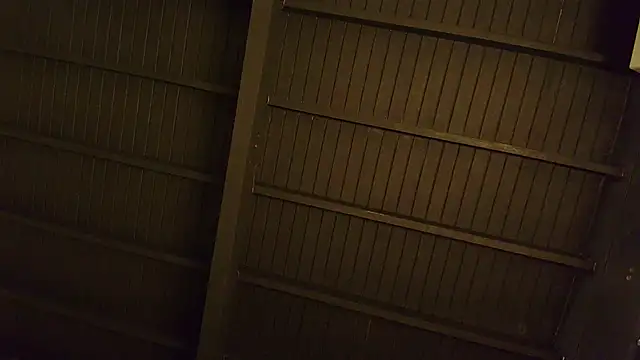 Snapshot of lilyth_bloom chatting on December 15, 2025, 12:42 pm lilyth bloom online show from December 15, 2025, 12:42 pm