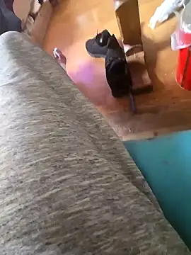 Fonse1860 online show from October 19, 2025, 8:59 am