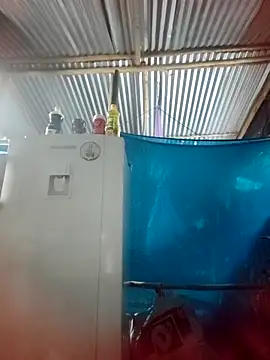 Lily-o online show from November 22, 2025, 10:42 pm