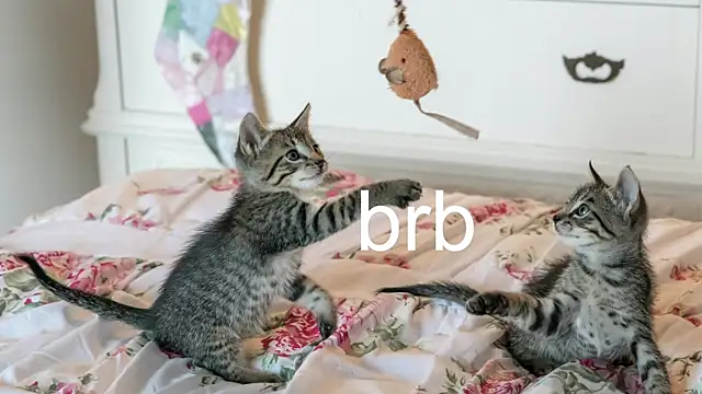 Pink girl0n online show from November 22, 2025, 3:27 am